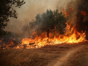 Wildfires