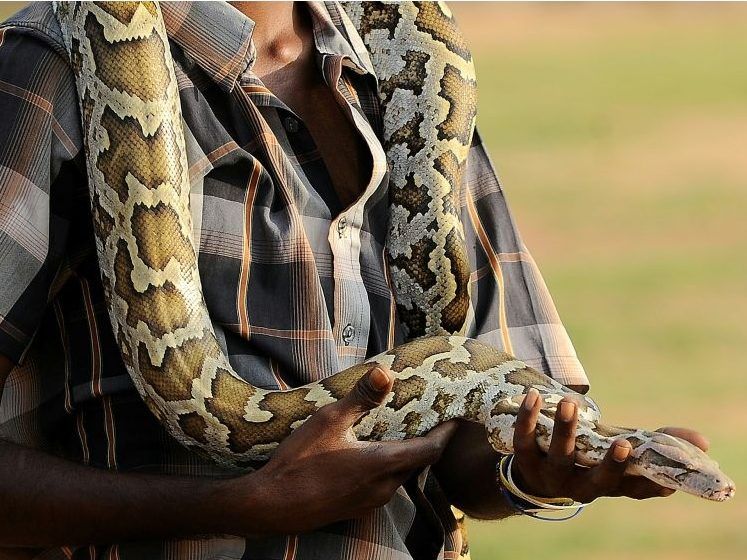 Sri Lankan beauty pageant contestant fined with animal cruelty