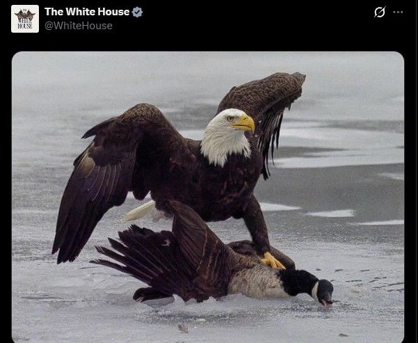 Image tweeted on Wednesday by the White House