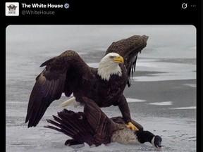Image tweeted on Wednesday by the White House