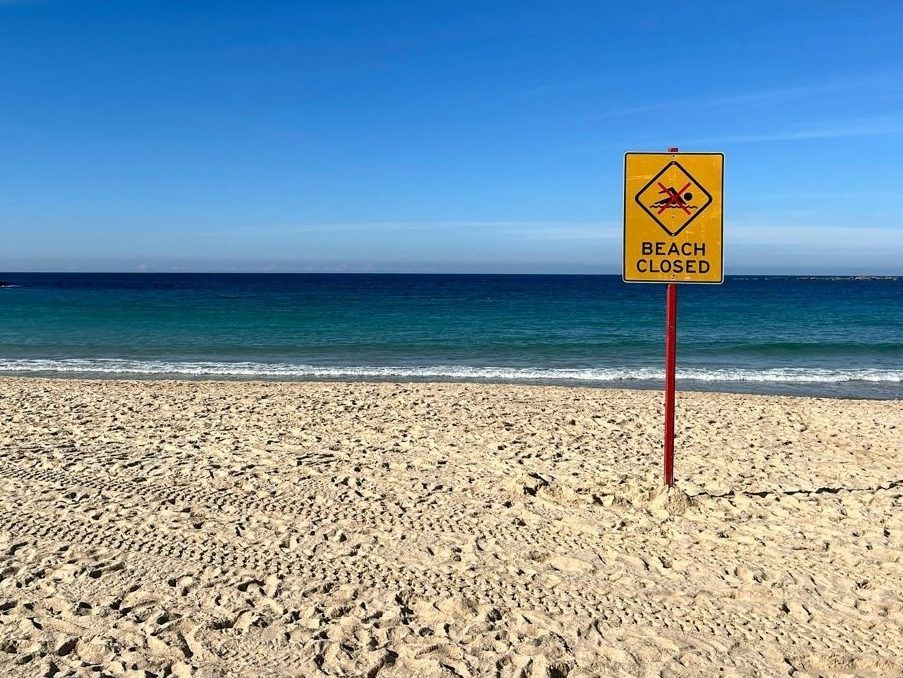 Surfer hospitalized after shark attack in Western Australia