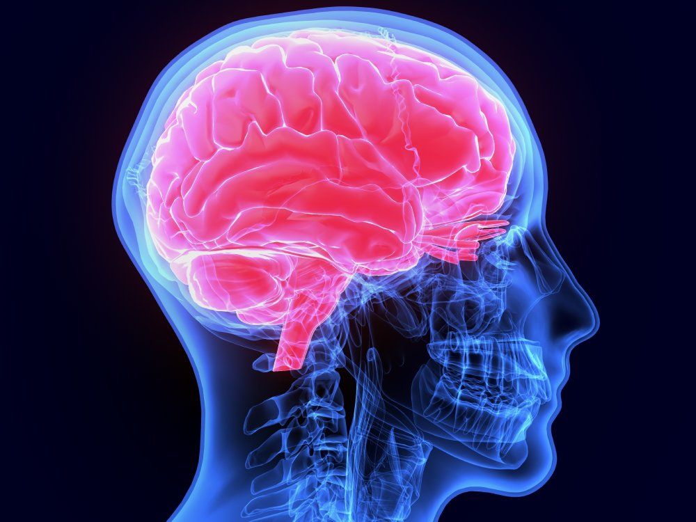 New study suggests the aging brain is adapting, not declining