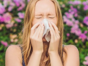 BANNER Pollen allergy concept. Young woman is going to sneeze. Flowering trees in background long format