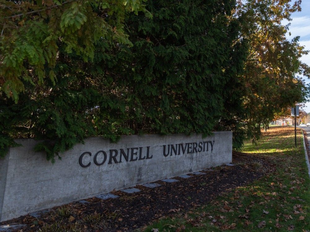 New York governor calls for ‘transparent, independent review’ of Cornell rape allegations