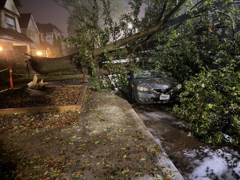 A fallen tree sits atop a vehicle in Toronto's Midtown area following a storm that brought hail, heavy rain and winds on Wednesday, Sept. 2, 2026.
