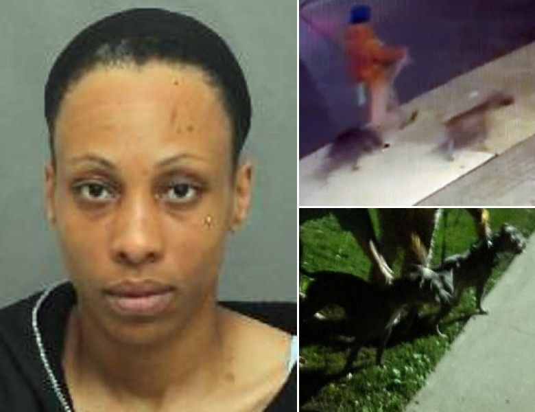 Toronto woman, 40, wanted for dog attack that injured pet owner and pooch
