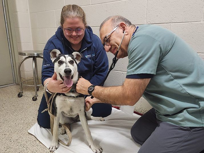 World Rabies Day clinic for pets puts spotlight on prevention