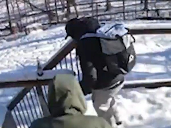 An increase in break-and-enters targeting homes that back onto greenspaces in Halton Region is believed to be tied to organized crime.