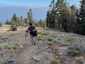 Three young hikers who used AI for information about a climb at a Northern California mountain became stranded and needed help from police and park rangers.