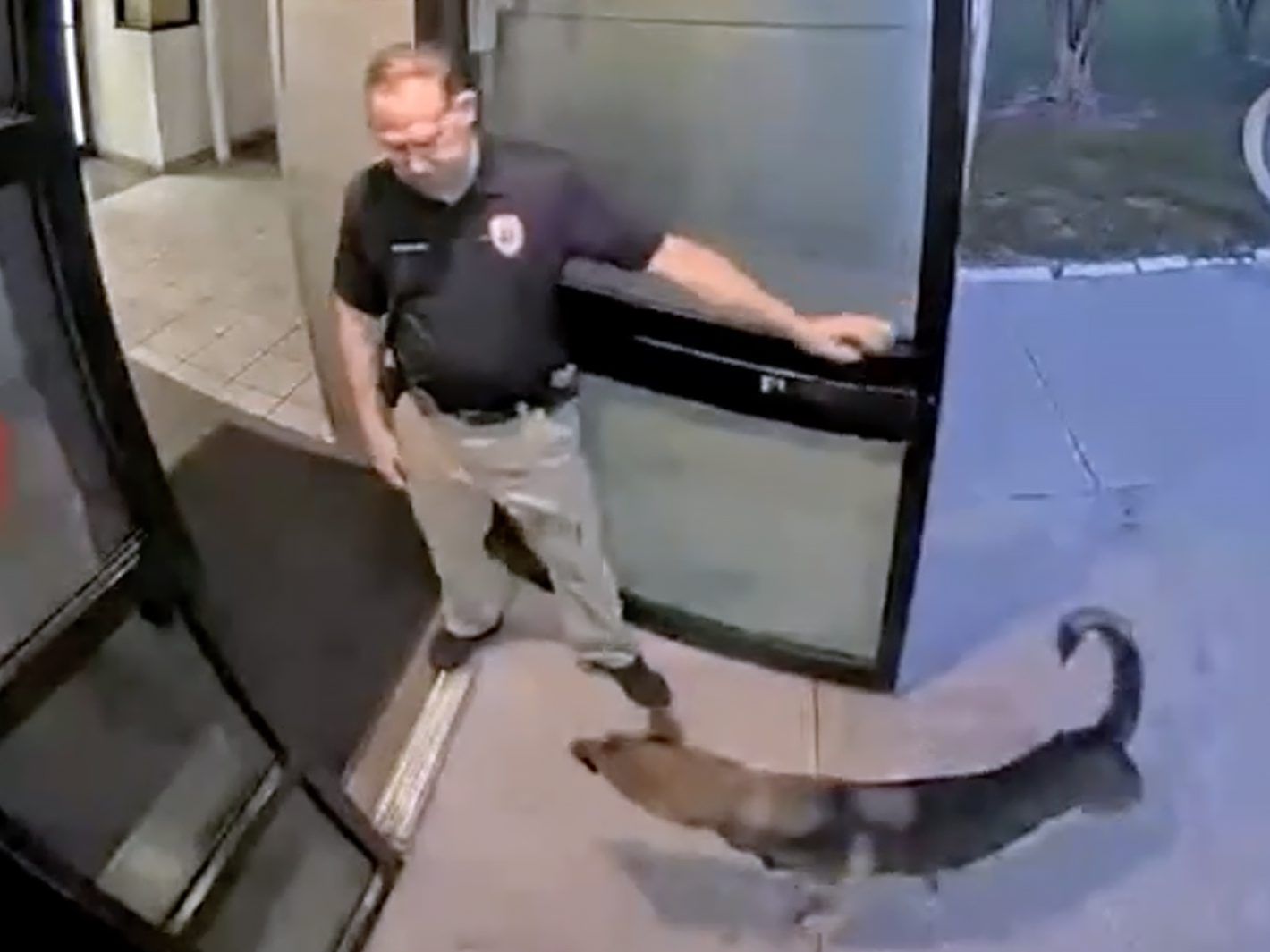 Lost dog reunited with owner after wandering to Florida police station