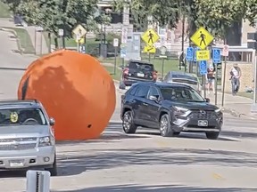 A giant inflatable pumpkin is pictured rolling down on Main St. in Dubuque, Iowa.