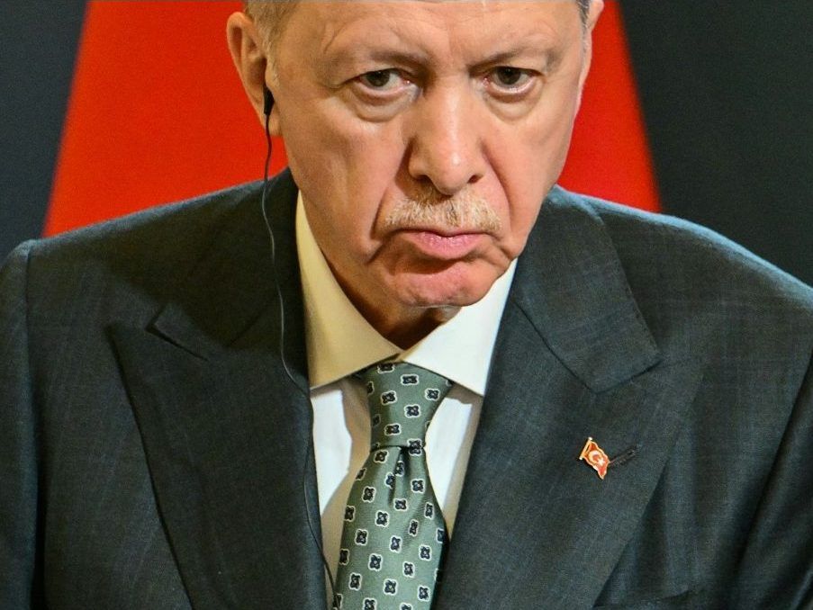 Insulting President Recep Tayyip Erdogan is a criminal offence in Turkey.