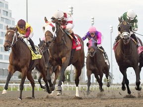 woodbine visions