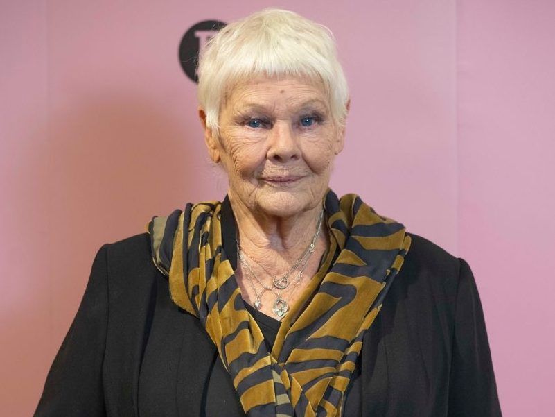 Dame Judy Dench attends a reception following 'Sir Richard Eyre In Conversation' at BFI Southbank on December 08, 2024 in London, England.