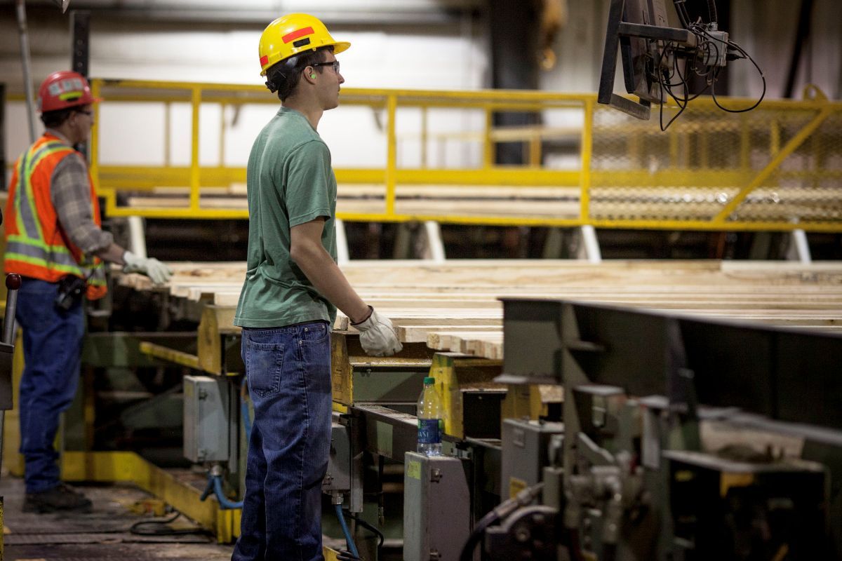 Employees inspect lumber passing down their high speed trim line at the West Fraser Blue Ridge Lumber mill on Friday September 12, 2014 near Whitecourt, Alta.