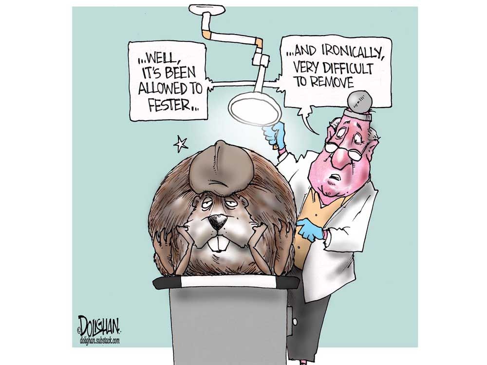 Tim Dolighan cartoon, Oct. 24, 2026