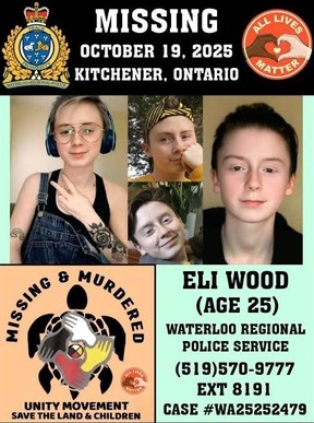 Missing poster for Eli Wood.