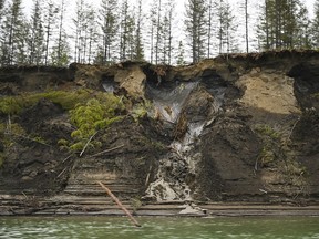 Permafrost melts into the Kolyma River outside of Zyryanka, Russia, in July 2019.