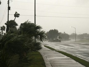 Mandatory evacuations were issued ahead of the storm for areas along Florida's Gulf Coast.