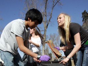 Grade 10 students Jan Gonzales (l) and Nicole Wilson pick up some litter on school grounds.  Approx. 250 Scona High School students took part in the Capital City Clean Up's 15 to Clean Challenge in Edmonton, AB on April 26, 2011.  The event  kicks off the 2011 spring clean up program.   (PERRY MAH/EDMONTON SUN)
