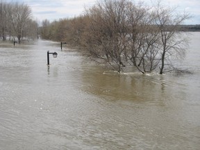 A lamp post is nearly submerged at a park near the Assiniboine River in Brandon Sunday after the city declared a state of emergency due to the threat of the rising river.
