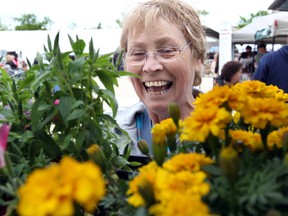 Sandra Aldous smiles as she selects a plant on the opening day of the St. Norbert Farmers' Market in Winnipeg, Saturday, June 4, 2011. (BRIAN DONOGH/Winnipeg Sun)