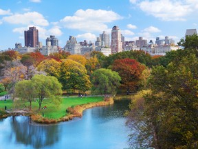A view of Central Park in New York City. (Shutterstock)
