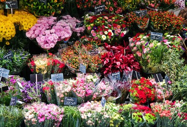 Cockney culture at Columbia Road Flower Market: A nondescript street in busy Hackney comes alive every Sunday as armies of flower-sellers turn the area into a riot of colour, fragrance and boisterous banter. Join the crush as Londoners haggle for floral bargains or just wander the street’s urban greenery. (Shutterstock)