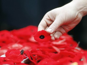 Poppies on the Tomb of the Unknown Soldier following the Remembrance Day ceremony at the National War Memorial in Ottawa November 11, 2011.    
(Chris Roussakis/QMI Agency)