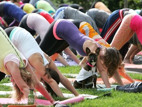 Lululemon makes form-fitting pants yoga pants. (DAVID BLOOM/QMI AGENCY)