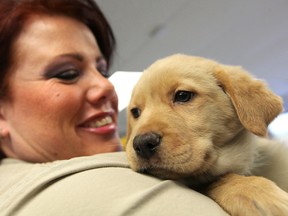 Winnipeg Pet Rescue Shelter assistant director Michelle Caughy holds Slater, a seven-week-old retriever cross. Slater is one of a number of young dog's at the Portage Avenue shelter who have been named for Winnipeg Jets players. (Jason Halstead, Winnipeg Sun)