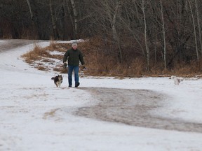 A man walks a dog on a mild Edmonton day. (IAN KUCERAK/EDMONTON SUN)