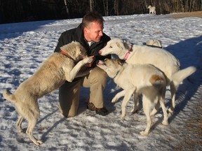 Spencer Sekyer plays with some of the dogs he help rescue from Kabul. (Perry Mah/QMI Agency)