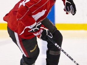 The Ottawa Senators have called up defenceman Mark Borowiecki from their Binghamton farm team. (OTTAWA SUN file photo)