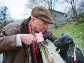 Toronto Sun columnist Mike Strobel interviews a goat at Riverdale Farm in Toronto on Tuesday (ERNEST DOROSZUK/Toronto Sun)