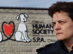 Miriam Smith, Rescue and Investigation Services Inspector for the Ottawa Humane Society, poses for a photo in Ottawa Thursday January 26. 2012.  Smith is investigating a cat killing in Ottawa.
(TONY CALDWELL/OTTAWA SUN)