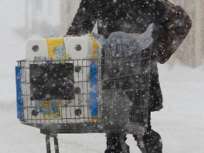 A file photo shows a woman pushing a shopping cart.