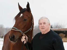 Director of National Capital Harness, Ed McHale, with 8 year-old pacer "Nocturnal" at his operation outside of Dunrobin. Wednesday February 15,2012. (ERROL MCGIHON/THE OTTAWA SUN/QMI AGENCY).