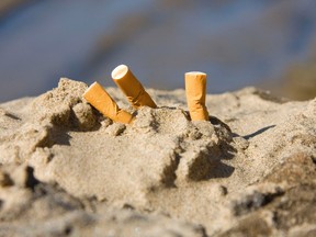A smoking ban at Ottawa beaches, parks, patios and outside municipal facilities is expected to be rubber-stamped by council after being unanimously approved at committee on Wednesday. The ban would take effect April 2. (FILE PHOTO)
