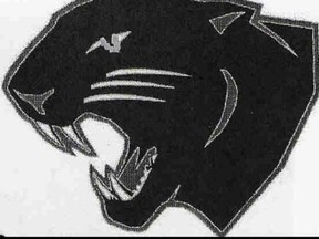 Paris District High School Panthers logo