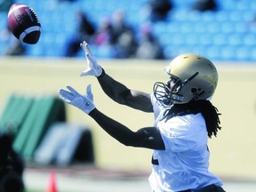 Receiver Kito Poblah aims to spend a whole lot more time on the field this season. (CHRIS PROCAYLO/WINNIPEG SUN)