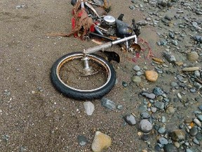 A Harley-Davidson motorcycle lies on a beach in Graham Island in this picture taken by Canadian Peter Mark in the end of April 2012 and released by Kyodo May 2, 2012.   REUTERS/Kyodo