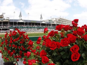 Roses are seen on the grounds of Churchill Downs before the 138th running of the Kentucky Derby in Louisville, Kentucky, May 5, 2012. REUTERS/Matt Sullivan