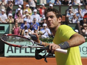 Argentina's Juan Martin Del Potro celebrates after he won against Spain's Albert Montanes during their Men's Singles 1st Round tennis match of the French Open tennis tournament at the Roland Garros stadium, on May 27, 2012 in Paris. AFP PHOTO/PASCAL GUYOT