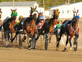 Harness racing