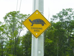 Signs are posted at common turtle-crossing areas. (SUBMITTED)