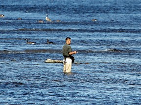 A man fishes in the Ottawa River Monday, August 1, 2011. (DARREN BROWN/OTTAWA SUN)