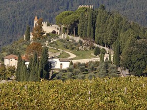 The Nipozzano castle, one of Italy's Frescobaldi family estate, is framed by a vineyard at Nipozzano, 30 km (19 miles) northeast of Florence in this picture taken October 8, 2010. (REUTERS/Max Rossi)