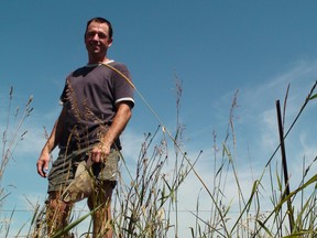 Farmer Mario St. Denis believes he'll lose at least half of his corn and soy bean crops because of severe drought conditions throughout eastern Ontario. Local MPPs met with farmers in the Ottawa Valley on Monday, July 30, 2012. (TONY SPEARS/OTTAWA SUN/QMI AGENCY)