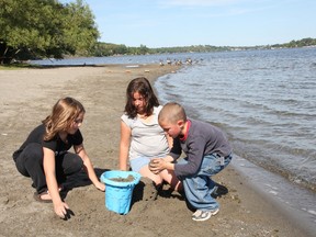 People play at the main beach in Bell Park. File photo